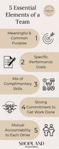 Infographic for 5 Keys Elements of a team